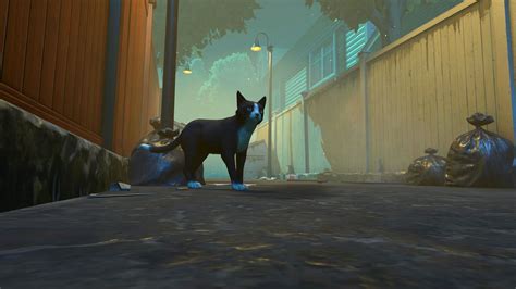 Copycat is an emotional adventure about a cat facing its greatest .